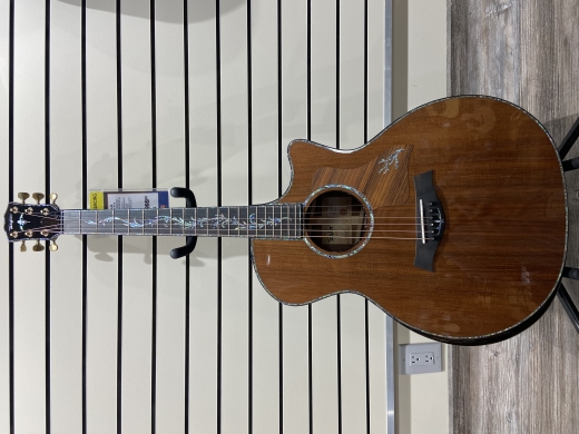 Taylor Guitars - PS14CE H RW